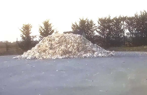 Tote Hühner, gestapelt zu einem Berg.