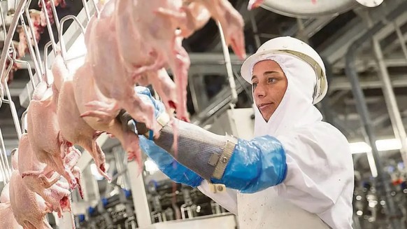 Schlachthof Courtepin FR der Micarna