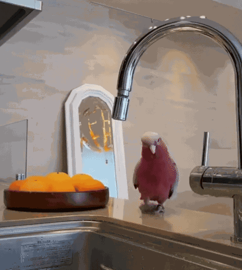 Animiertes GIF