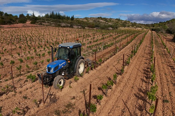 epa11304107 Laurent Maynadier, wine producer at the vineyard &#039;Le Champs des soeurs&#039;, drives a tractor along rows of vines as he works in his vineyard in Fitou, Aude department, southern Fran ...
