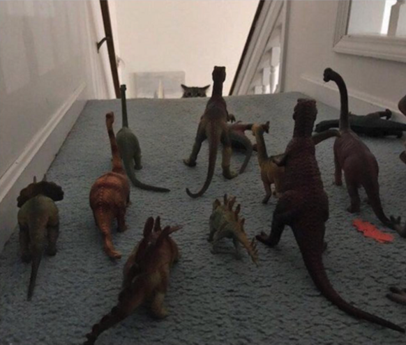 Katze mit Dinosauriern