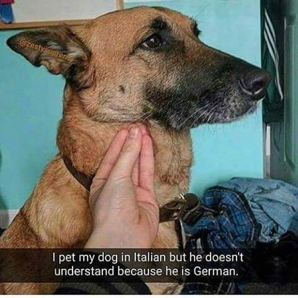 Los! Surfe mit Phteven durch den PICDUMP!*
Asta la pasta