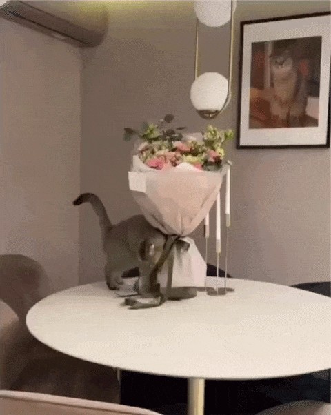 Animiertes GIF