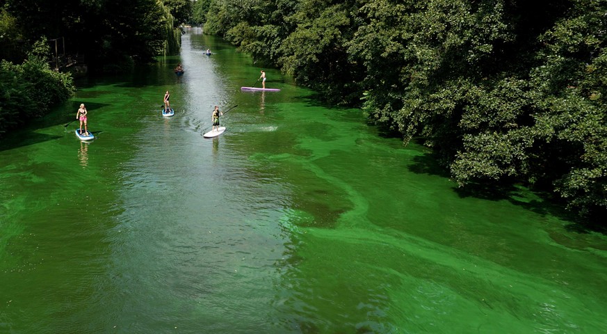 People enjoy the summer weather on their stand up paddling boards on the Alster river in Hamburg, northern Germany, Sunday, Aug. 3, 2014. (AP Photo/Matthias Schrader)