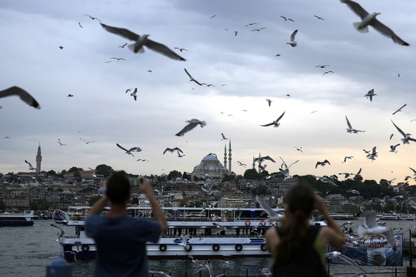 People photograph seagulls as they fly over the Galata Bridge in Istanbul, Turkey, Tuesday, June 20, 2023.(AP Photo/Khalil Hamra)