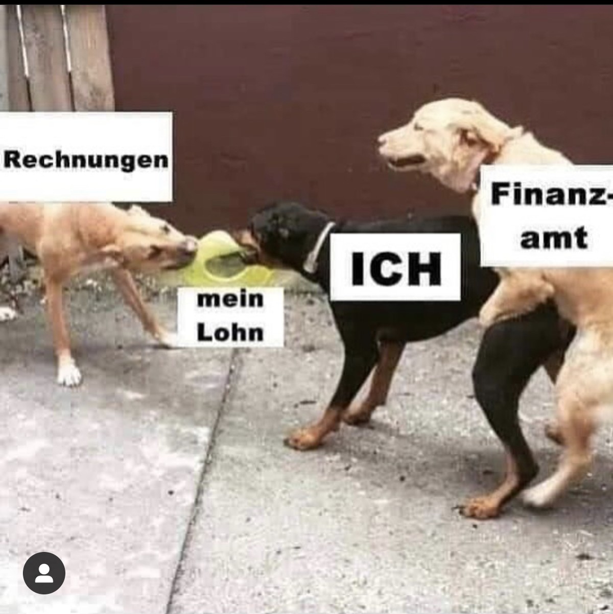 PICDUMP! Chumm au!
Hey Leute; der 13. steht vor der T├╝r...
Alle so:ЁЯШНЁЯТкЁЯП╗ЁЯТ╡ЁЯТ░ЁЯТ╖ЁЯТ╢ЁЯТОЁЯОвЁЯН╛
Das Steueramt so: ЁЯШП