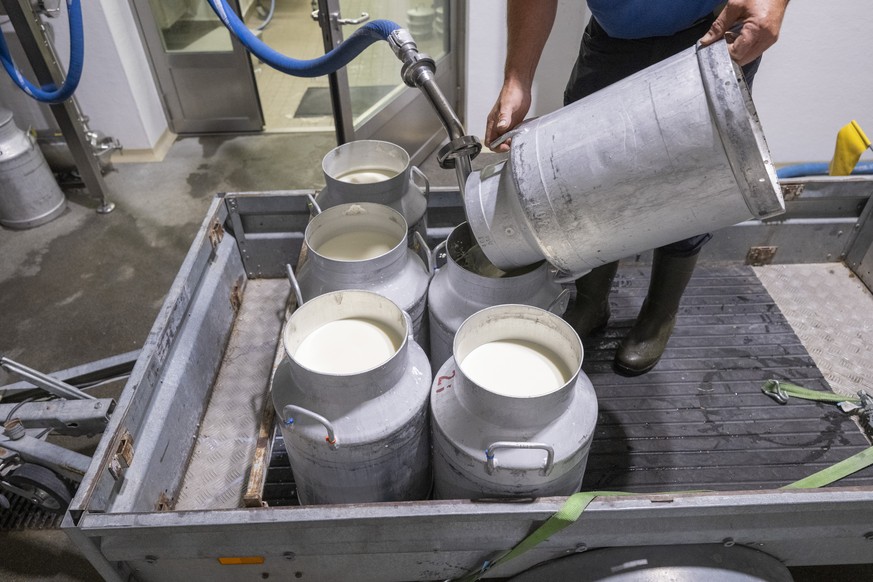 Frische Milch wird von den Aelplern direckt zur Kaeserei gebracht, in der Urnerboden Alpkaeserei anlaesslich der Bodaefahrt auf Urnerboden auf 1370m zwischen dem Klausenpass und Glarus am Dienstag 18. ...