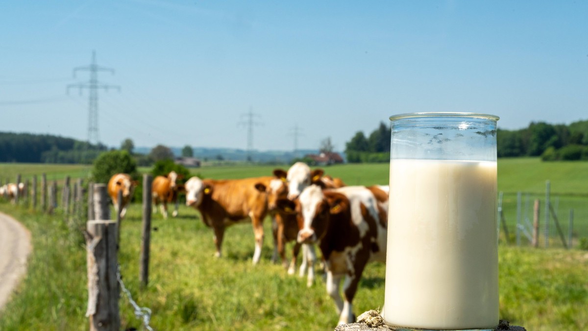 Milch-aus-den-beiden-Basel-teilweise-mit-PFAS-belastet