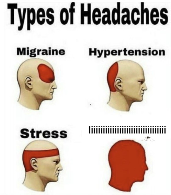 Lustige Mücken Memes