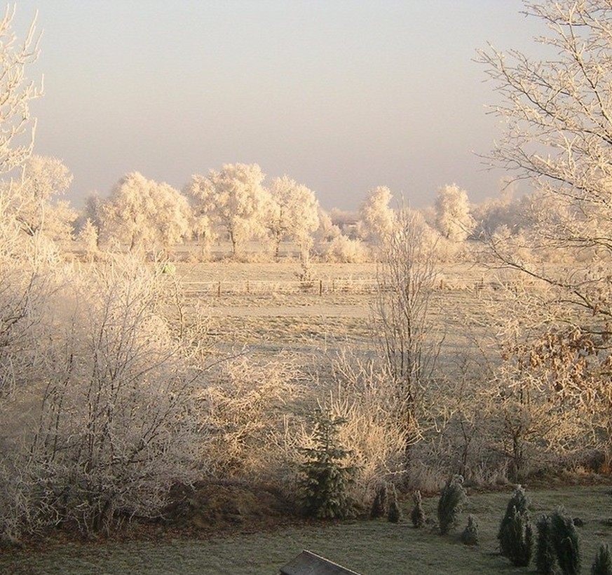 Eisige Kälte und leichter Dauerfrost wird uns die nächsten Tage erwarten.