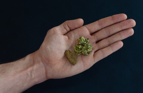 Haschisch Cannabis Gras Kiffen Joint