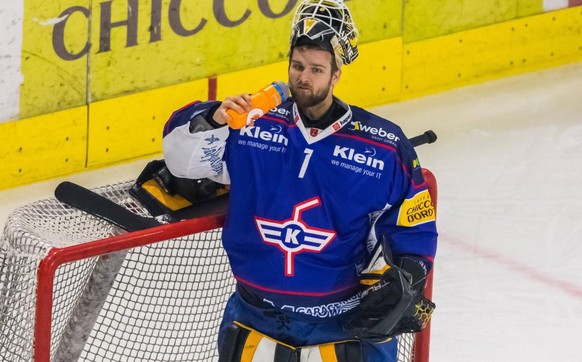 Ajoie-Goalie Tim Wolf hilft derzeit bei Kloten aus.