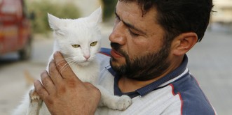 Scharen flüchten aus Aleppo – dieser Mann bleibt und kümmert sich um die verlassenen Katzen
