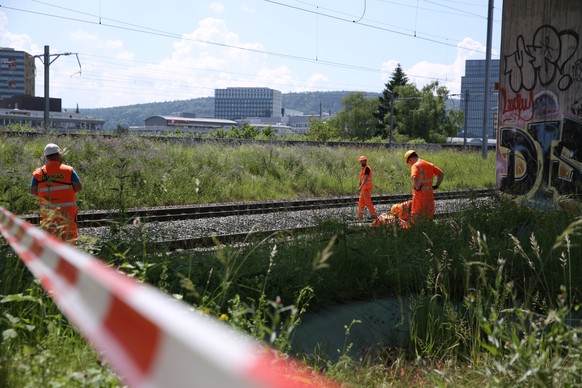 SBB-Arbeiter begutachten den Ort eines Kabelbrandes, am Dienstag, 7. Juni 2016, in Zuerich Oerlikon. Gegen 3 Uhr am fruehen Dienstagmorgen wurde in einem Kabelkanal der SBB an der Schaerenmoosstrasse  ...