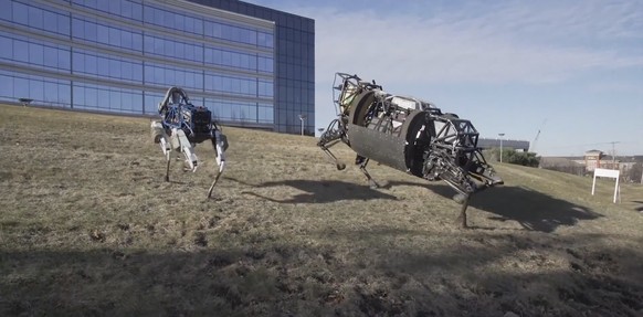 Die beiden Tech-Tiere auf Spaziergang.