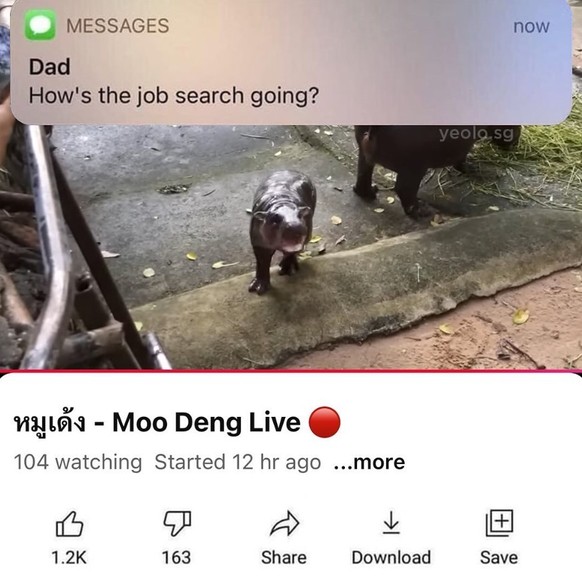 moo deng meme