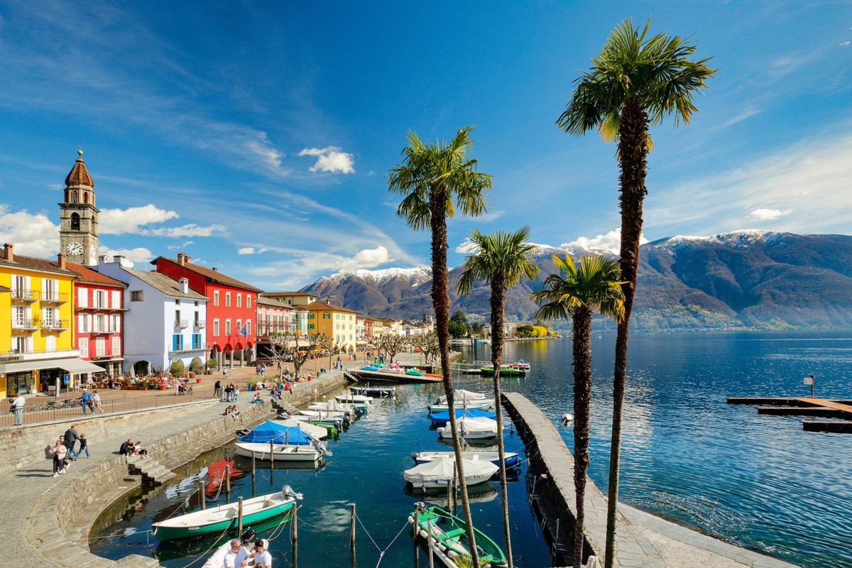 Chinesische Hanfpalme, Chinesische Hanf-Palme, Hanfpalme, Hanf-Palme Trachycarpus fortunei, Trachycarpus excelsa, Seepromenande von Ascona am Lago Maggiore an einem sonnnigen Tag im Winter mit schneeb ...