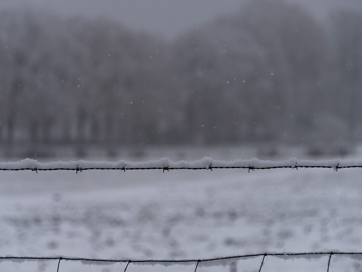 Vier bis sechs Zentimeter Neuschnee im Mittelland: Zaun in Basel.