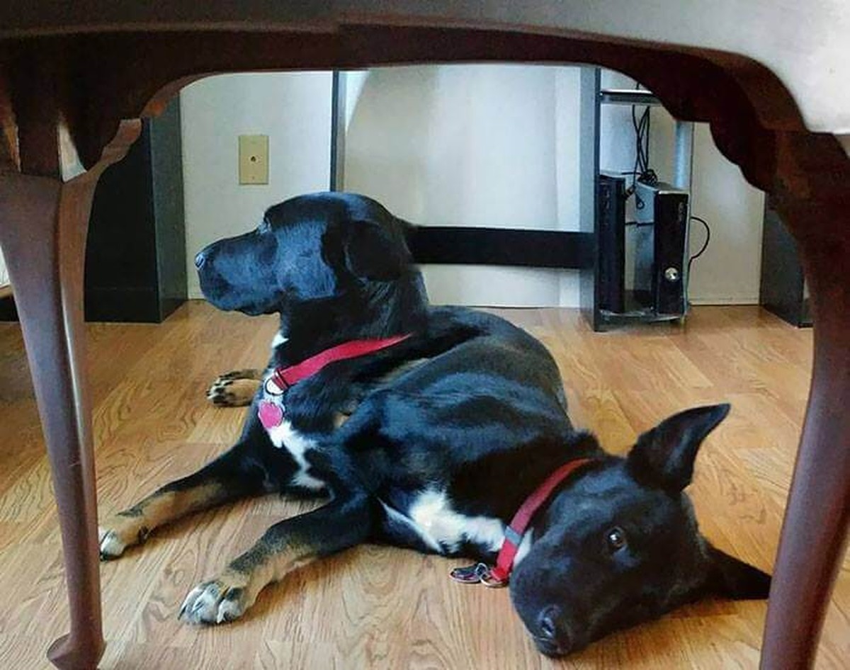 Panorama Fails