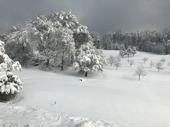 tel: 
Golfplatz Kyburg