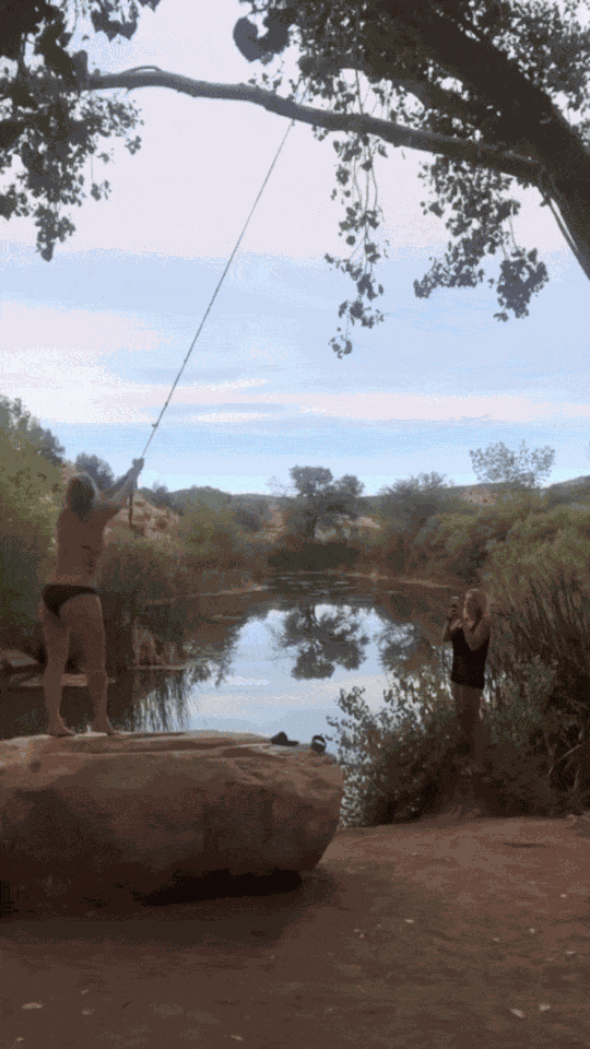 Animiertes GIF