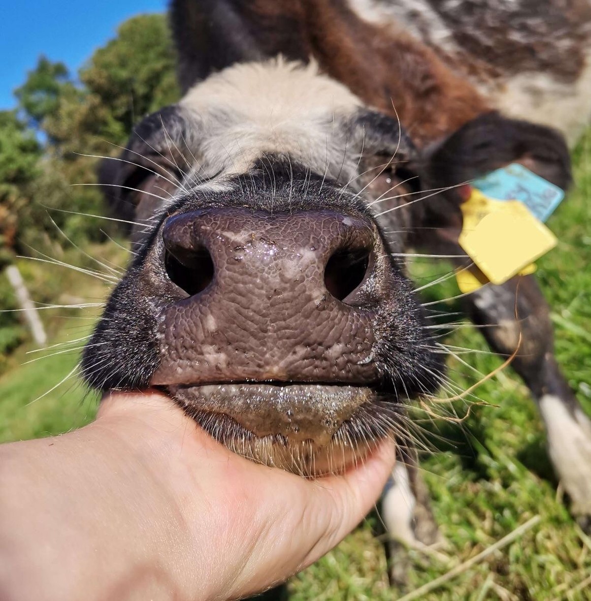 cute news tier kuh

https://www.reddit.com/r/Eyebleach/comments/16azifa/a_handful_of_honeysuckle/