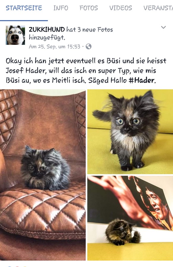 Wenn du jemanden triffst, der denselben dÃ¼mmlichen Humor teilt:Â PICDUMP!
Lina, hast du gerade Anna und Zukki als Paar geoutet?