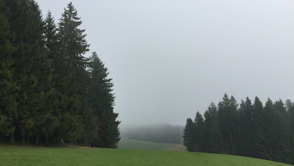 Melancholisch schöne Stimmung bei Ebnat-Kappel.