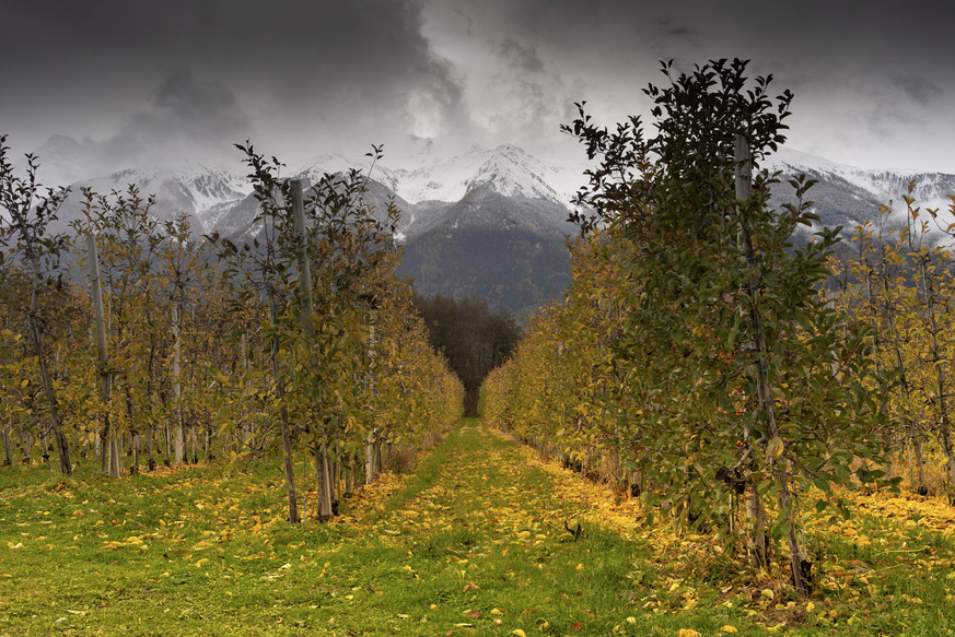 Vinschgau, Tales of Change, Bild: Florian Reber